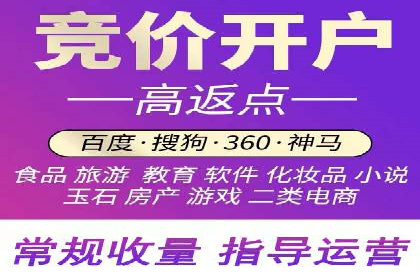 百度竞价排名策略解析：一家公司的广告投放策略全揭秘